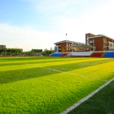 [Образец специальной стрельбы] Искусственное моделирование газон ковров. Фальшивая трава кожаная зеленая строительная площадка