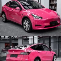 ПЭТ -кристаллическая свекла Пурпур 1,52*18 метров