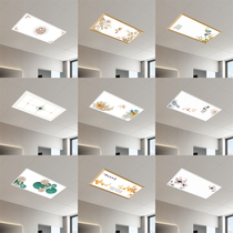 300x600 flat lamp integrated ceiling led lamp 30x60 kitchen toilet suction ceiling lamp aluminium buckle plate embedded