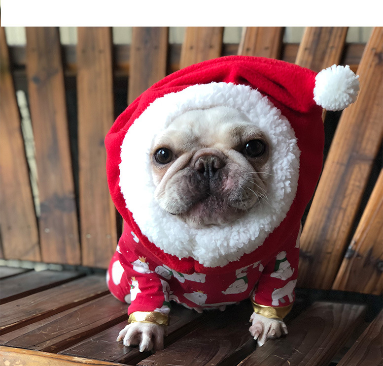 Pet Giáng sinh chó chó Giáng sinh trang phục mèo Giáng sinh trang phục mèo mèo luật mũ Teddy Giáng sinh - Quần áo & phụ kiện thú cưng quần áo thú cưng size lớn