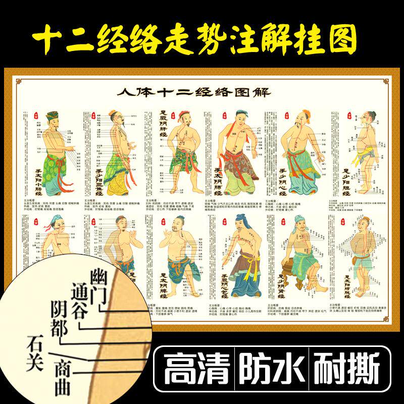 Poster traditional Chinese medicine twelve acupoints map human meridian acupoints map massage large wall chart illustration whole body meridians and tendons