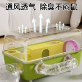 Golden Skin Bear Vanges Cage Heport Super Dalva Luxury и Cheap Aquari Gest Gest