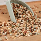 Нет кукурузного голубя голубей голубей голубей, часовой подача голубя с ярлинином 2,5 кг бесплатной доставки