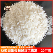 New rice Anhui farmhouse self-produced double-evening rice hybrid rice long grain fragrant rice 20 kg packed 10kg Jiangsu Zhejiang and Shanghai