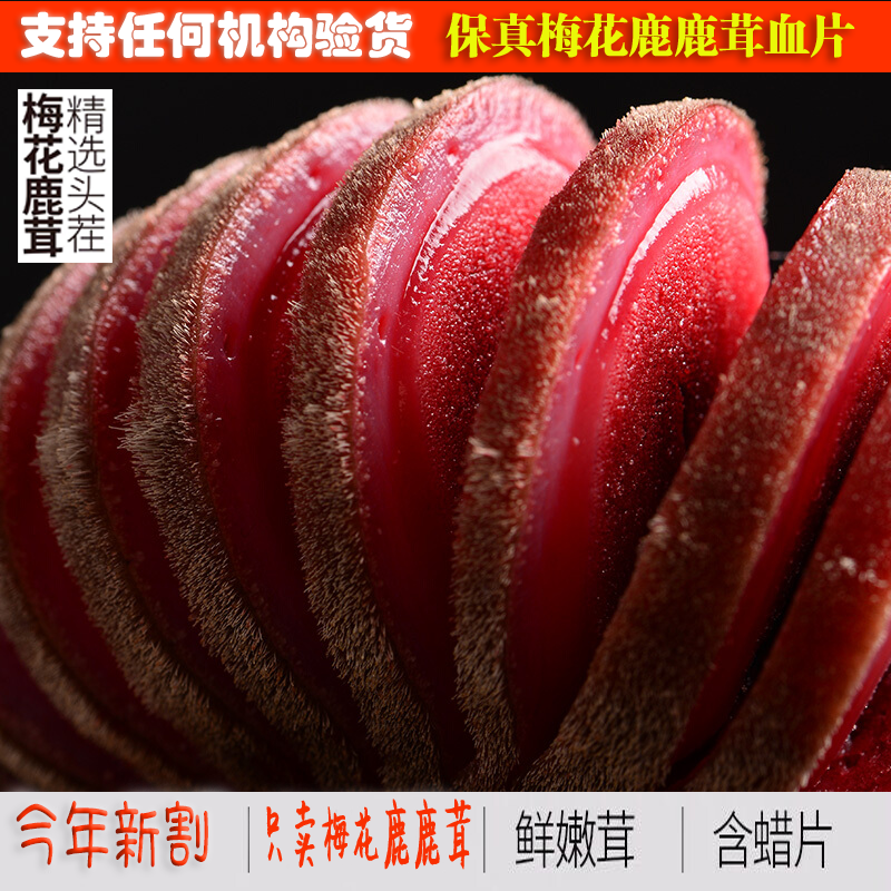 Northeast Changbaishan Township fresh deer red pink blood plate dry authentic non - 10g all - raw 50g bubble tea stubble wax