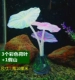 3 Lotus Leaf Height 10 см. ПП УПАКОВАНИЕ, чтобы купить 2 кусочки бесплатной доставки.