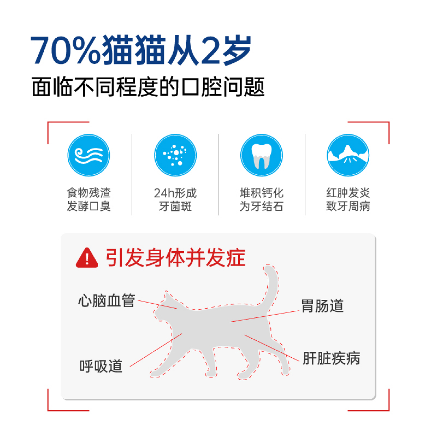 4包小壳小白牙猫咪鸡肉冻干洁齿棒：宠物清洁口腔零食新选择，幼猫磨牙必备神器！