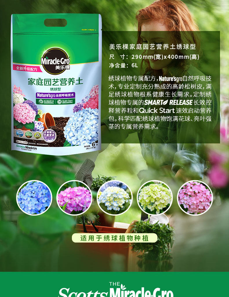 Hydrangea 6l3_06.jpg