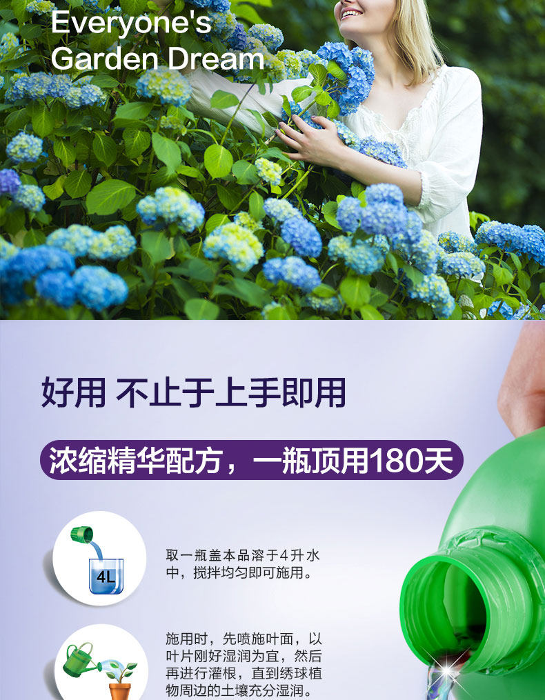 Hydrangea 500-3_03.jpg
