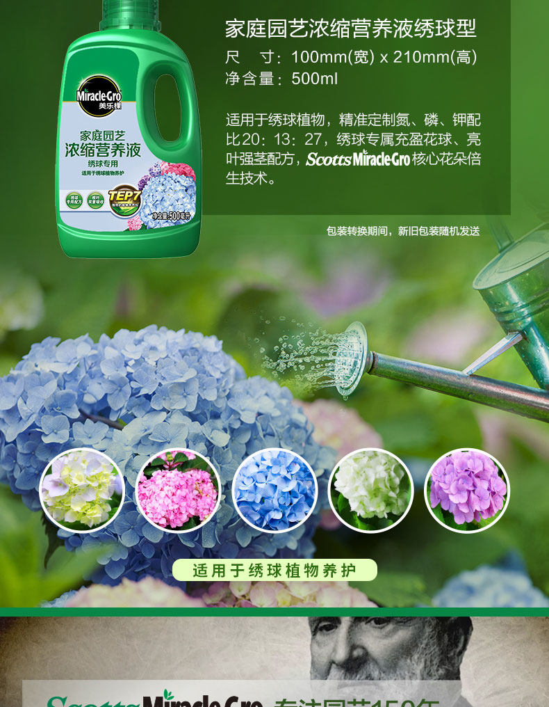 Hydrangea 500-3_05.jpg