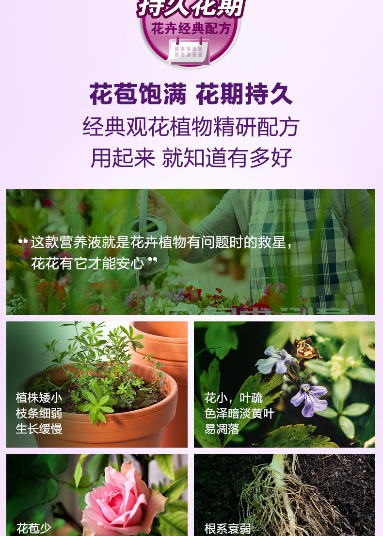 Flowers-1l-1_03.jpg