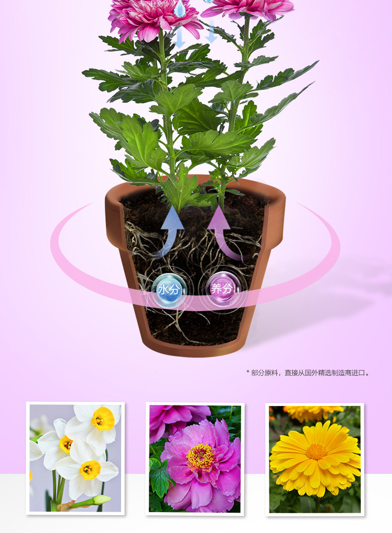 [花卉2502_06.jpg]