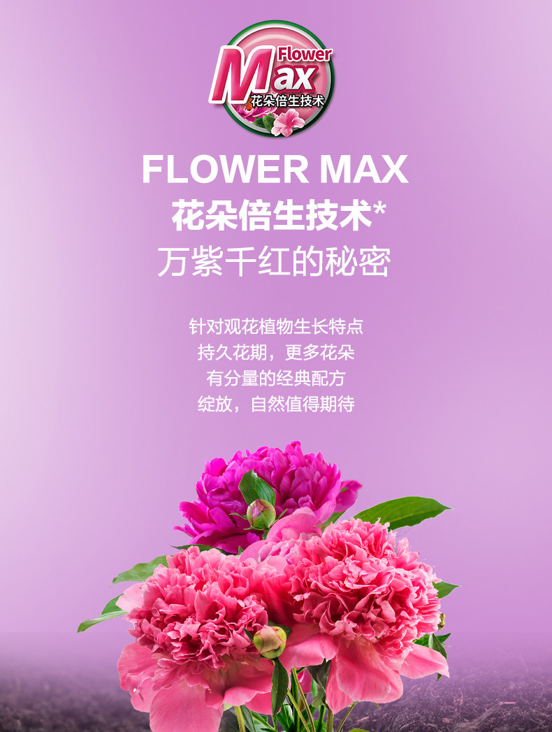 Flower-2_01.jpg