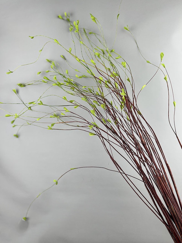 Artificial Willow Branches, Willow Buds, Vine, Dead Branches, Lines, Home Decoration, Dragon Willow, Green Plants, Soft Decoration, Floral Accessories, Artificial Flowers Artificial Willow Branches, Willow Buds, Vine, Dead Branches, Lines, Home Decoration, Dragon Willow, Green Plants, Soft Decoration, Floral Accessories, Artificial Flowers
