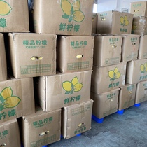 Sichuan Anyue Yulike yellow lemon 3060 pounds of fresh seasonal fruits first and second grade fresh lemons with bad fruit compensation included