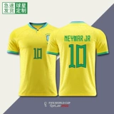 Samsung, футбольная форма, комплект, 2022, делается под заказ