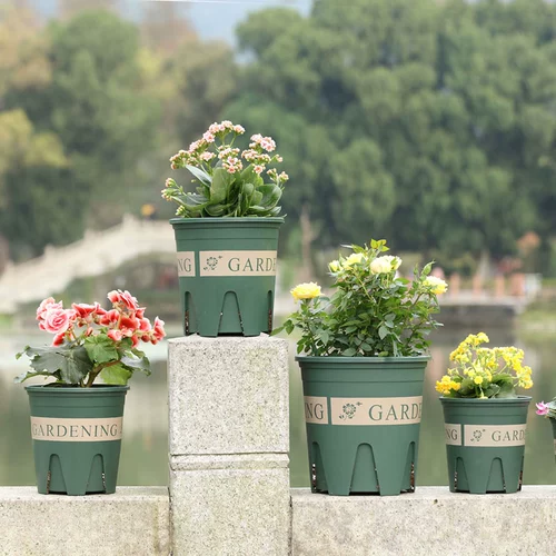 Root Genlon Pen Пластиковый цветочный бассейн дом творческий творческий зеленый пируштер Плактоид Пластиидные растения Внутренние бассейн Циншан можно оборудовать подносом