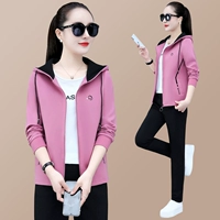 Фиолетовый розовый