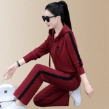 Модный спортивный костюм, брендовая толстовка с капюшоном, осенний комплект для отдыха, для бега