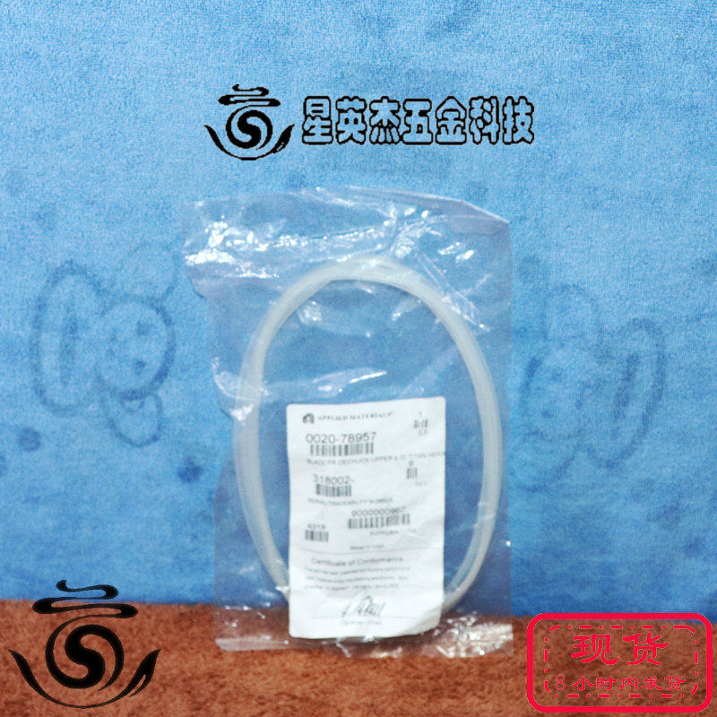 AMAT 0020-78957 BLADDER DECHUCK UPPER 8.00 TITAN HEAD
