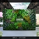 Qingxiu 14 (1 квадратная цена)