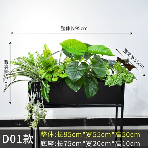 Ложное растение семи -летняя магазин более 20