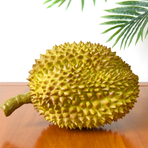 Моделирование модели фруктовых фруктов Durian модель фруктов и овощ