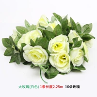 Большая белая роза