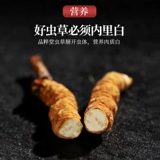品粹堂 Cordyceceps Sinensis 5G Аутентичная трава, тибетская высокая высота, первая подарочная коробка, оснащенная 3/грамм