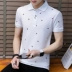 Áo thun nam tay ngắn Hàn Quốc áo thun xu hướng quần áo ve áo polo áo quần nam Tang Sen Ma Wei Lion cửa hàng chính thức áo polo trắng Polo