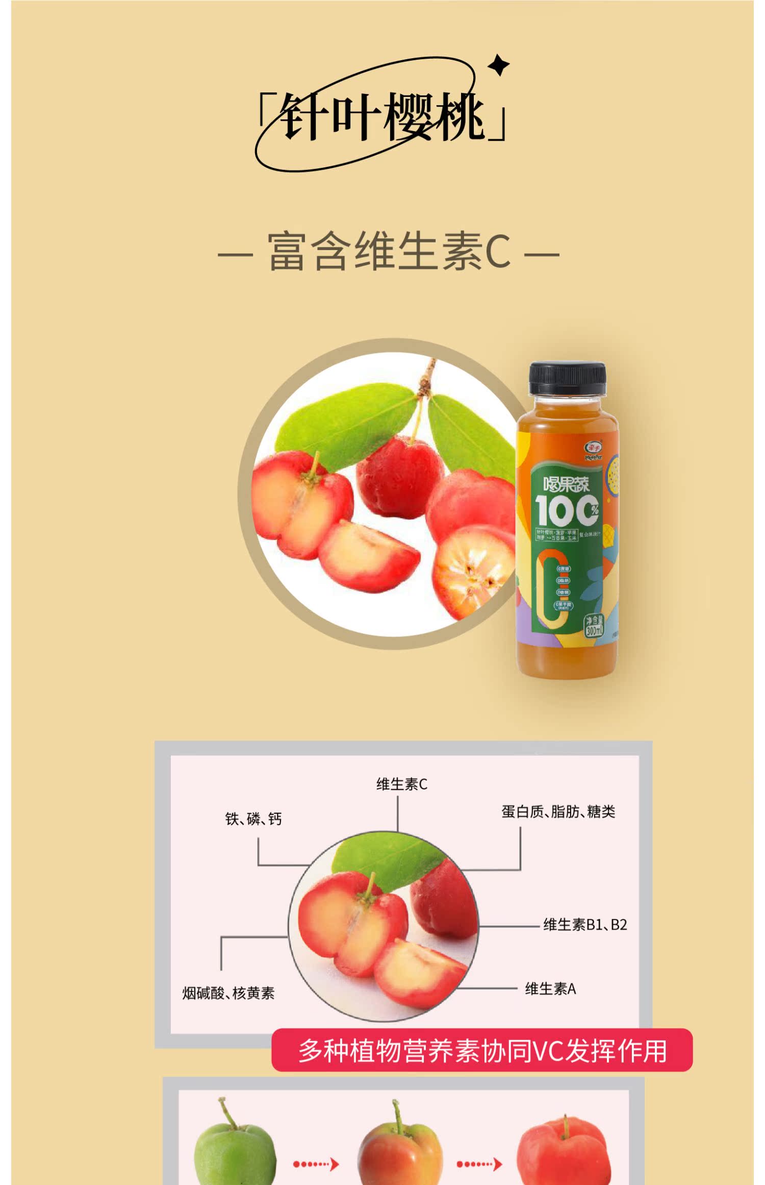 牵手水果蔬菜汁饮品300ml*8