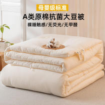 Class A pure cotton soy fiber quilt universal quilt for all seasons thickened warm winter quilt air-conditioning quilt high-end spring and autumn quilt core