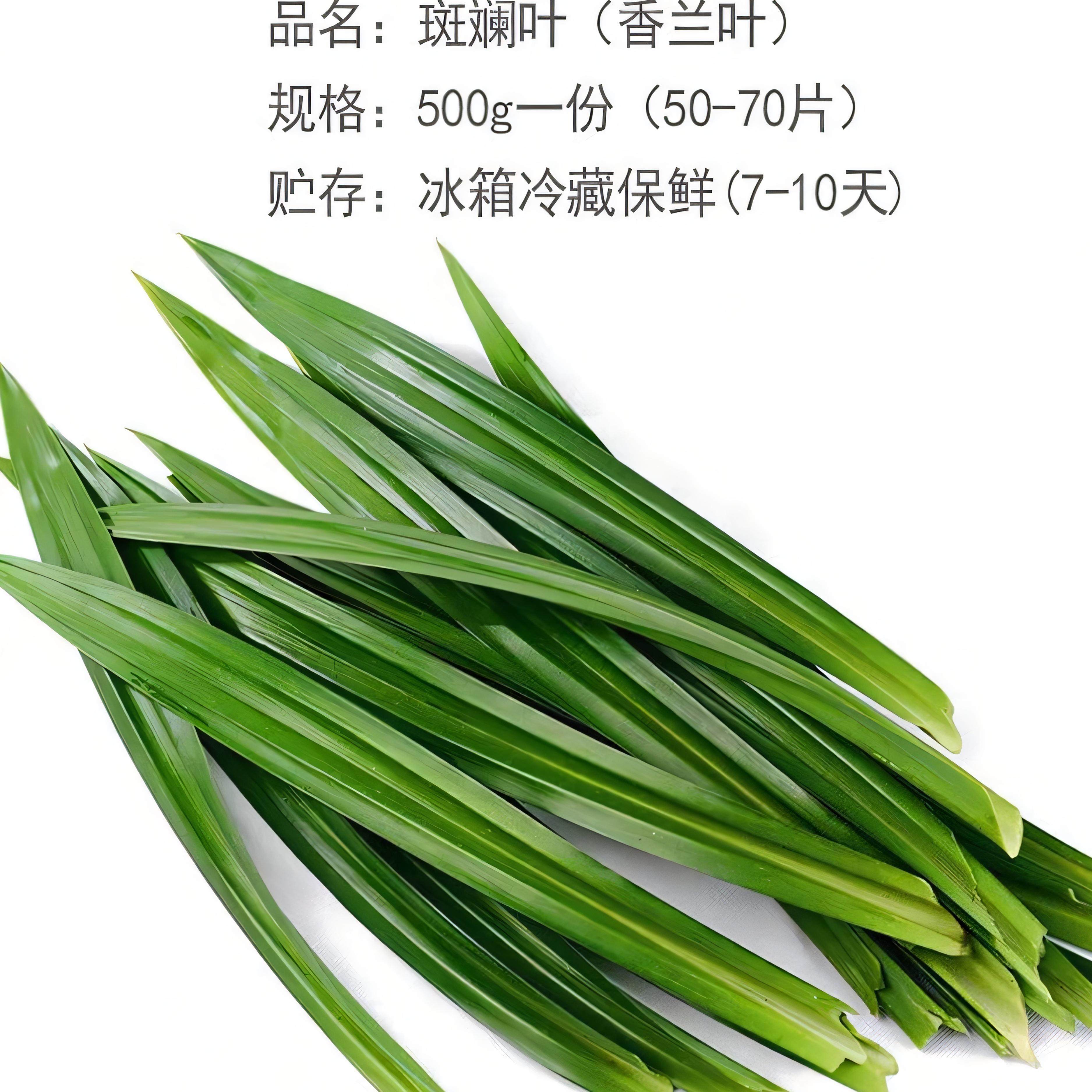 香兰叶新鲜斑斓叶500g:解锁东南亚美食的秘密武器🌿 -斑斓叶-淘宝百科网