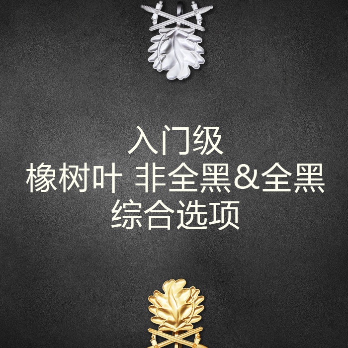 Entry Level Iron Man All Black & Not All Black - Comprehensive Cross Double Sword Oak Leaf Medal Ring Recommended