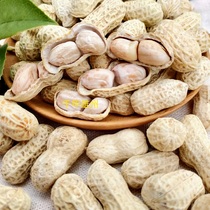 Boiled salty dried peanuts Shaoguan Nanxiong local specialty farm natural dried fruit fruit original peanut Rice