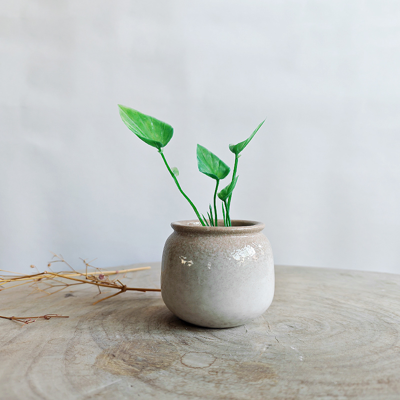 Ceramic Flower Pots and Vases for Hydroponic Plants, Clearance Sale, New Models for Home Use, Plant and Fish Tank Hideout