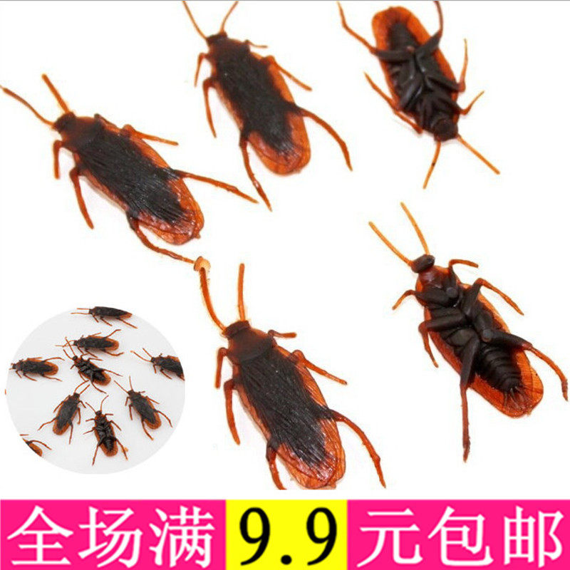 Simulation cockroach pranks whole people's toys whole people pranks on the show Fools are emulating fake cockroaches small strong centipede scorpions