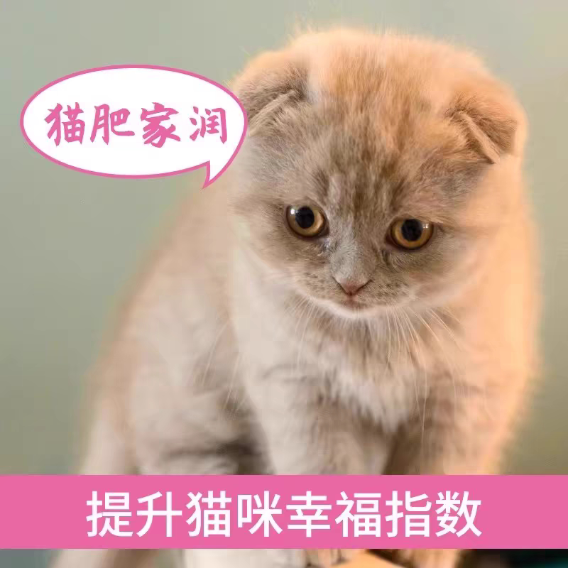 依瑞宠物