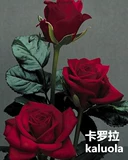 Mei 拉 罗 罗            hudoor и Outdoor 芄刍 Балконный лунный завод 