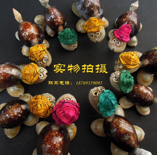 Professional Straight For Shell Sea Snail Craft Gift Hem Decorated Shells Small Turtle Pure Handmade Elementary School Kindergarten Gift Giving Away