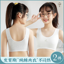 girl student's underwear puberty junior high school girl's bra