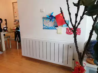 Saar electric heating water heater heating copper and aluminum composite material life of 50 years Mobile phone remote control