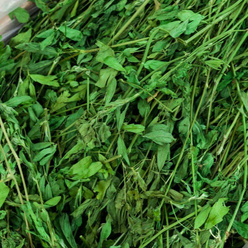 Purple Flower Clover Grass Wheat Grass Rabbit Dragon Cat Feed Dry Grass Pet Dry Pasta 1000g Young Rabbit Fresh Rabbit Grain