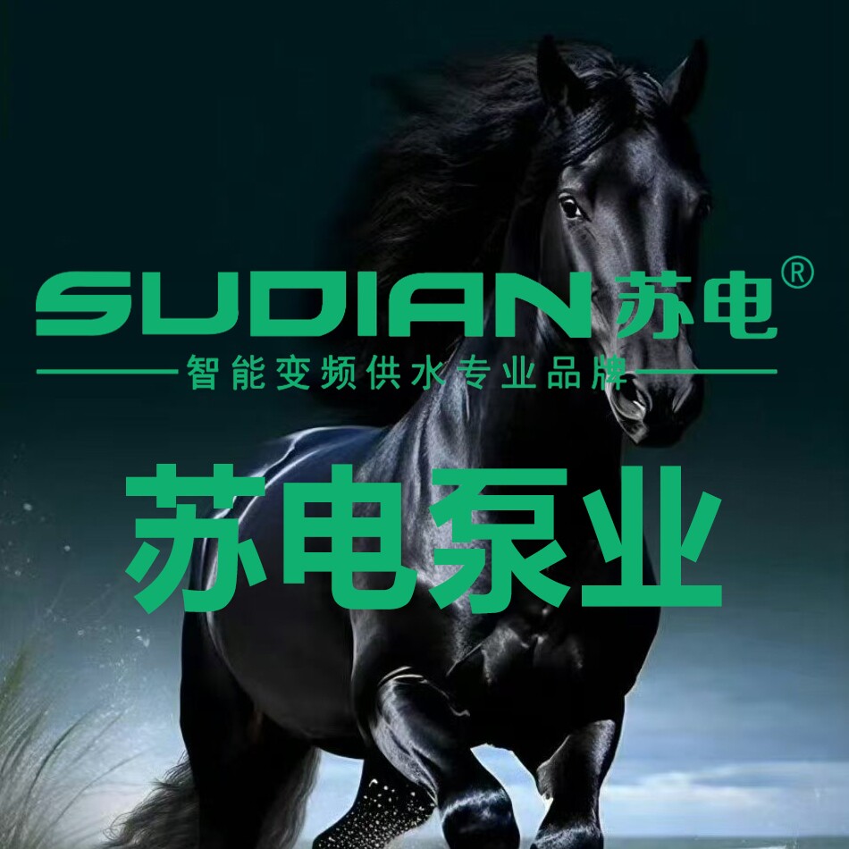 苏电泵业官方店