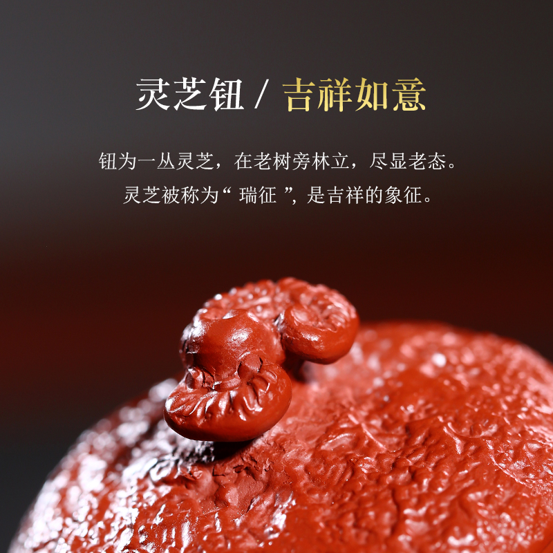 Shadow at present yixing are it by Xu Pingchun all hand dahongpao teapot suit spittor for spring