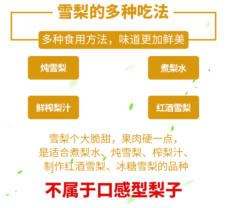 正宗甘肃武威皇冠梨5斤