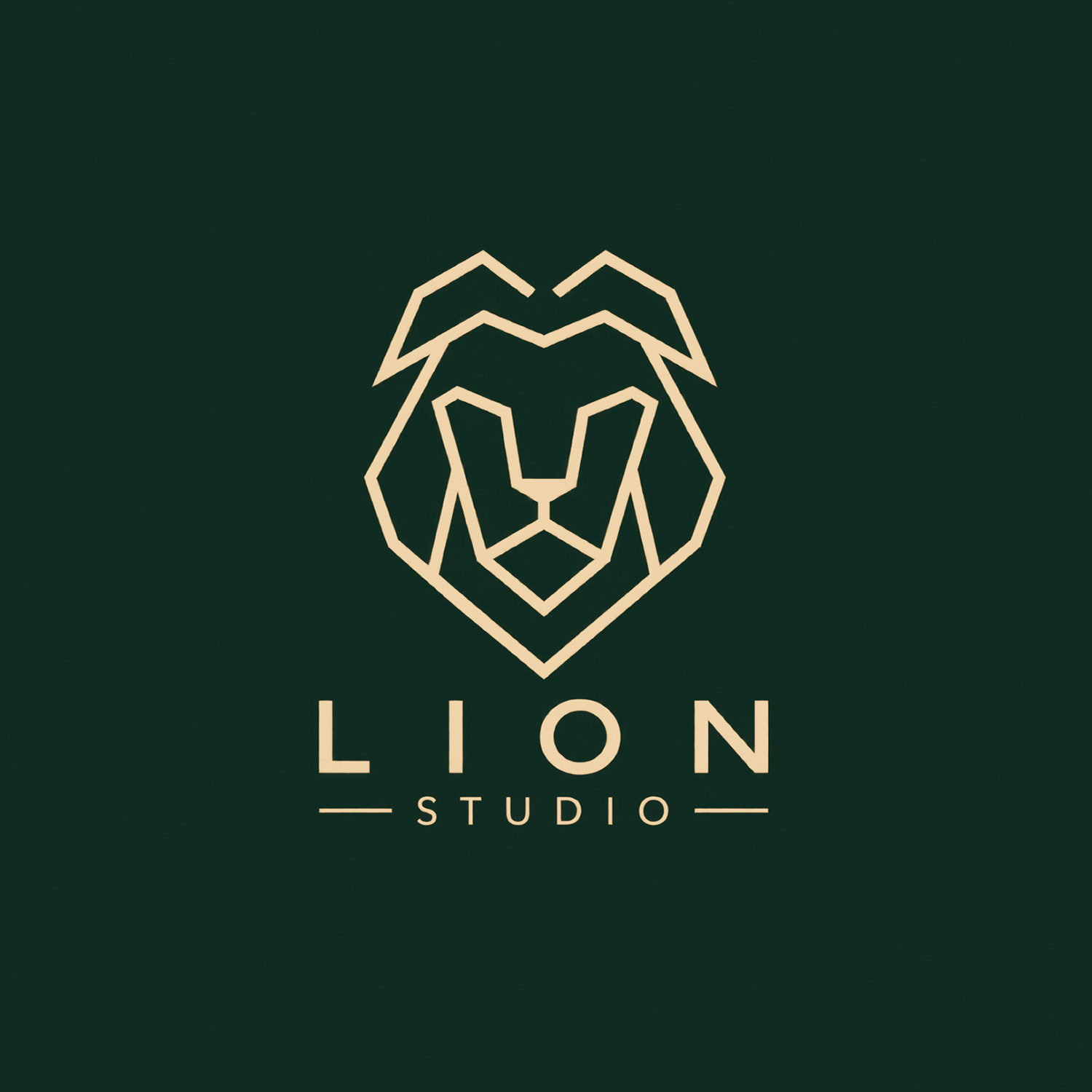 Lion Studio