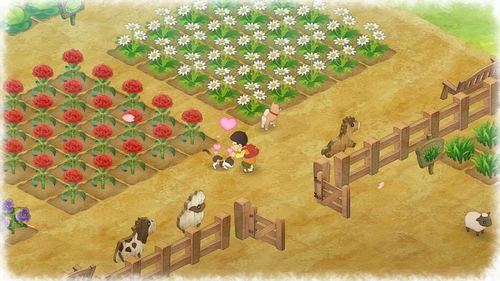 Switch NS Game Doraemon Ranch Story Machine Cat Nobita's Farm Story Doraemon