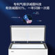 New Haier 300-Liter Single-Temperature Freezer with Steel Plate Liner Bc/Bd-300Ghpdz