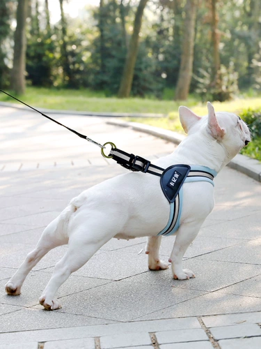 FA Dou Dou Dour Triangle Breakthlery Better Bargieenar жилеты направление веревка небольшие и маленькие собаки продукты